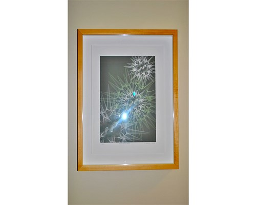 Image description is not available